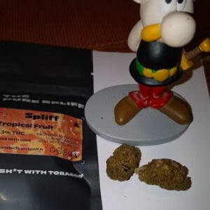 Recensione cliente Tropical Fruit con foto - Spliff