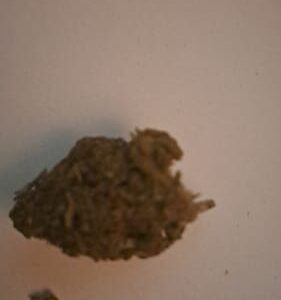 Recensione cliente Tropical Fruit con foto - Spliff
