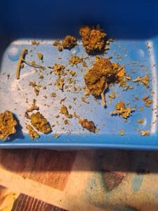 Recensione cliente Minibud Premium Superskunk con foto - Spliff