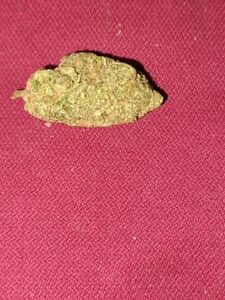 Recensione cliente Super Lemon Haze con foto - Spliff