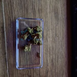Recensione cliente Minibud Premium Superskunk con foto - Spliff