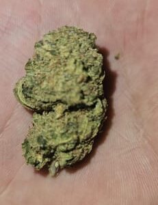 Recensione cliente Candy Kush con foto - Spliff