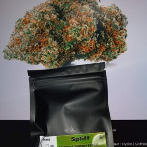 Recensione cliente Super Lemon Haze con foto - Spliff