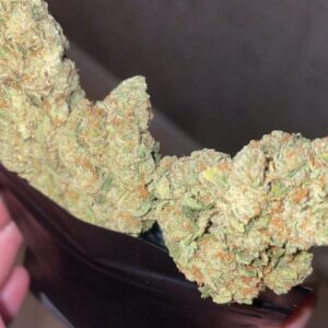 Recensione cliente Amnesia con foto - Spliff