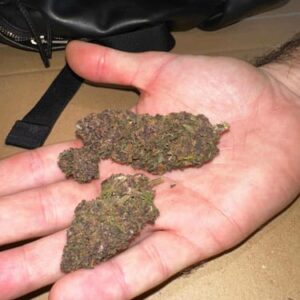 Recensione cliente AK47 Purple con foto - Spliff