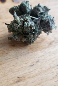 Recensione cliente Minibud Premium Superskunk con foto - Spliff