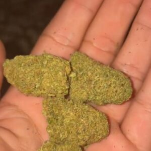 Recensione cliente Gelato con foto - Spliff