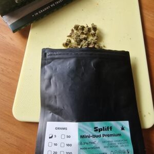 Recensione cliente Lemon Kush Pop con foto - Spliff
