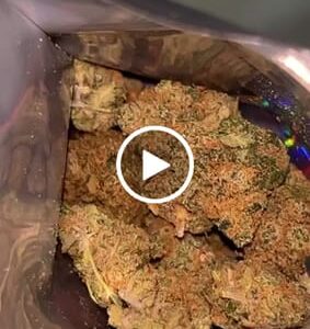 Recensione cliente Raspberry Muffin con foto - Spliff