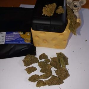 Recensione cliente Cheese con foto - Spliff