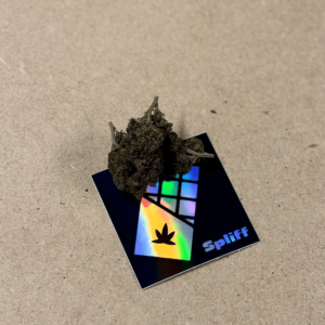 Recensione cliente Gorilla Glue con foto - Spliff