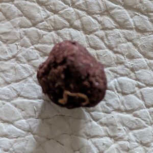 Recensione cliente Libanais Rouge con foto - Spliff