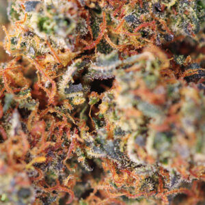 Fleur Gelato 33 THCX 30% SPLIFF