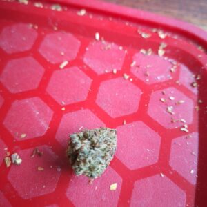 Recensione cliente Gelato 33 con foto - Spliff