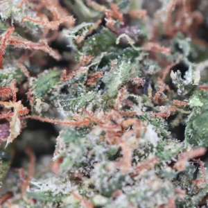 Macro Bubble Gum THCX Spliff CBD