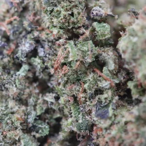 Macro Fleur Cookie OG CBD Spliff