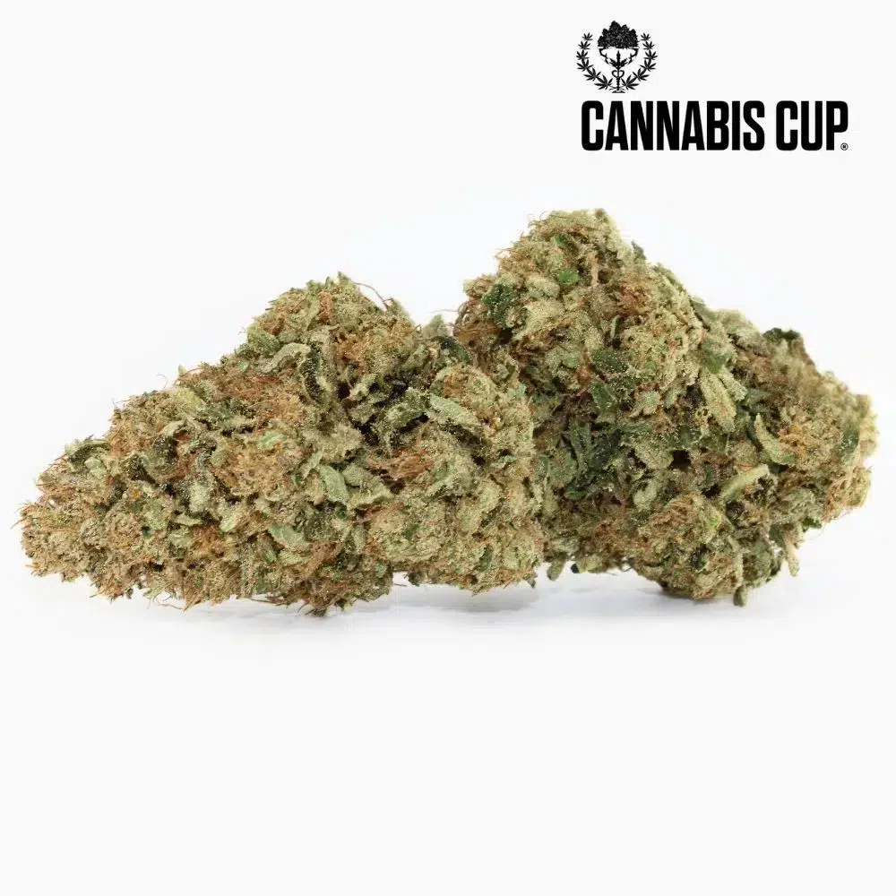 Dark Saphir – fiore di CBD Spliff