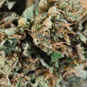 Dark Saphir – fiore di CBD Spliff, primo piano