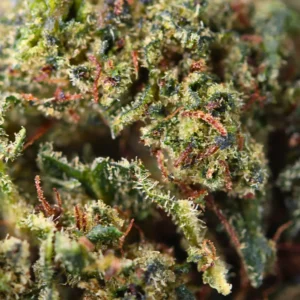 Macro Sour diesel THCX