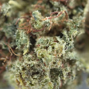 Orange BUD THCX