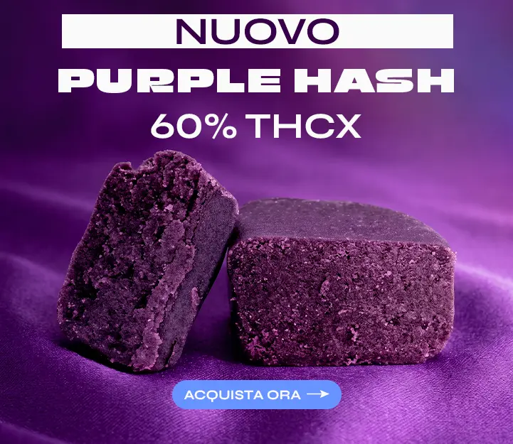 Purple Hash THCX Spliff
