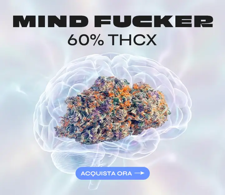 Mind Fucker THCX Spliff