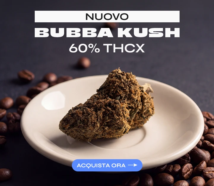Bubba Kush THCX Spliff