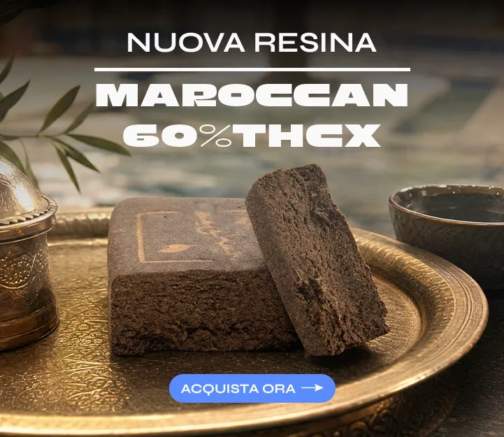 Marroccan THCX Spliff
