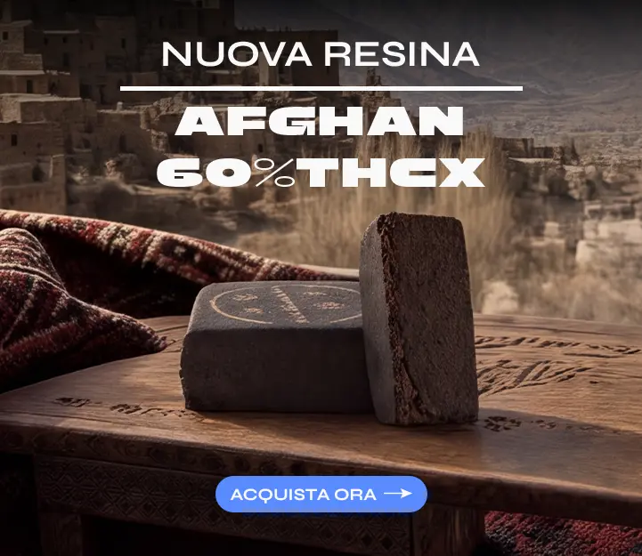 Afghan THCX Spliff