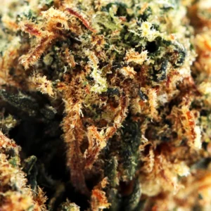 Blueberry Muffin THCX 60% – macro di tricomi e pistilli