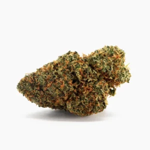 Blueberry Muffin CBD – fiore di CBD compatto con tricomi e pistilli arancioni