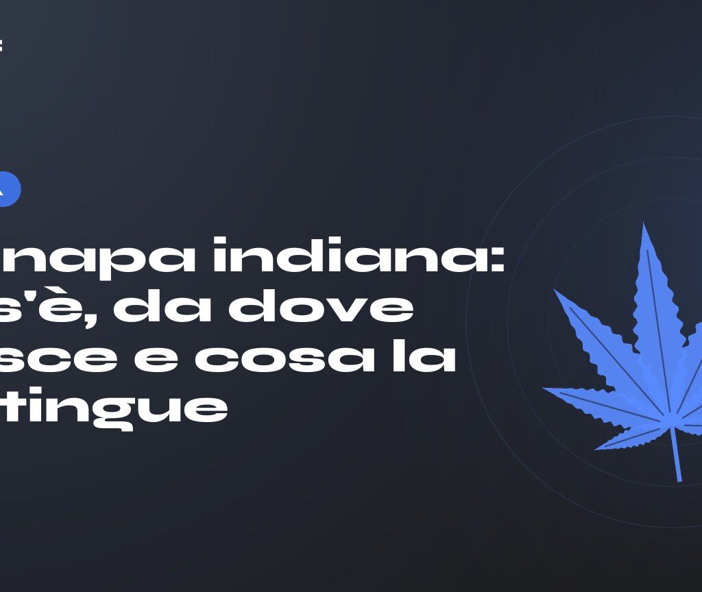Canapa indiana: cos'è, da dove nasce e cosa la distingue — titolo su fondo scuro, foglia di canapa stilizzata