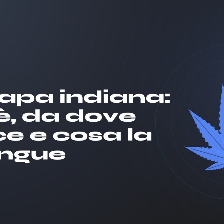 Canapa indiana: cos'è, da dove nasce e cosa la distingue — titolo su fondo scuro, foglia di canapa stilizzata