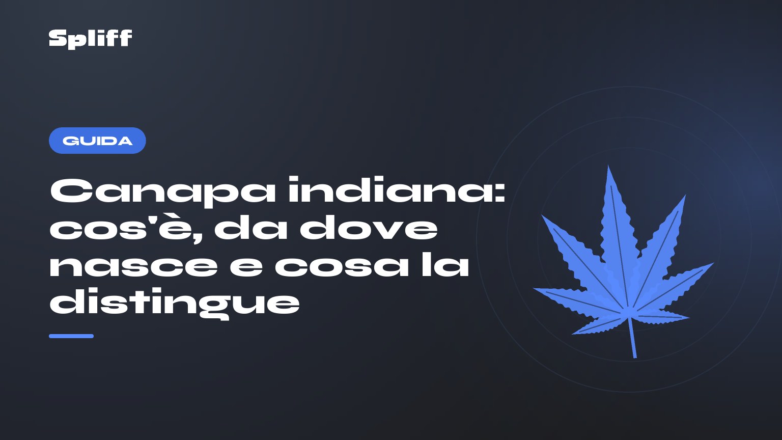 Canapa indiana: cos'è, da dove nasce e cosa la distingue — titolo su fondo scuro, foglia di canapa stilizzata
