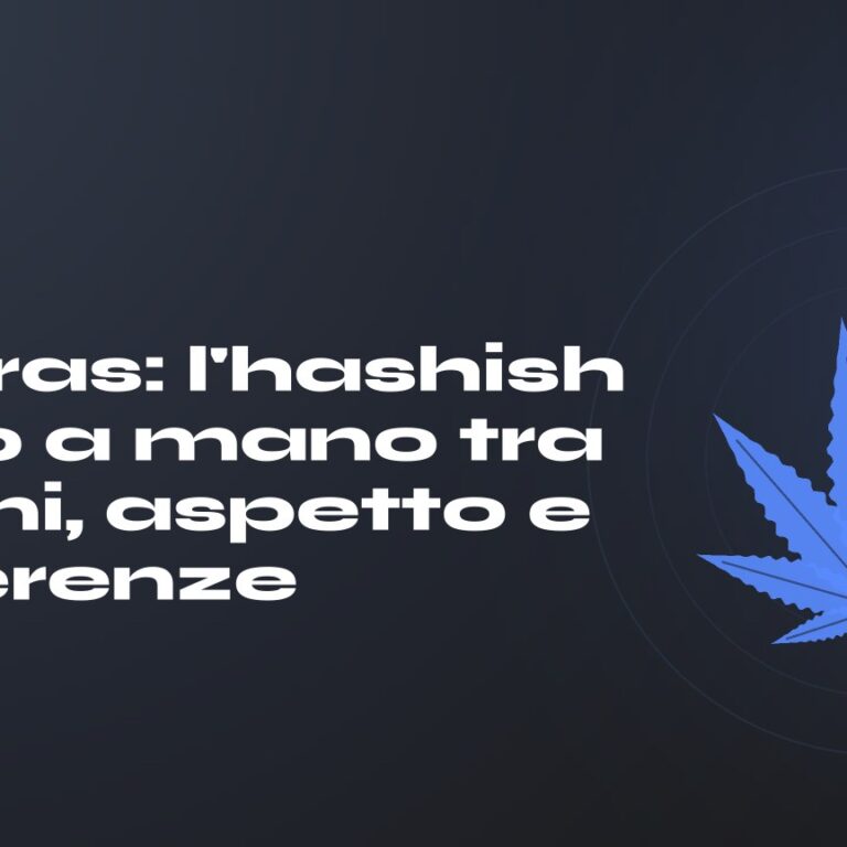 Charas: l'hashish fatto a mano tra origini, aspetto e differenze — titolo su fondo scuro, foglia di canapa stilizzata