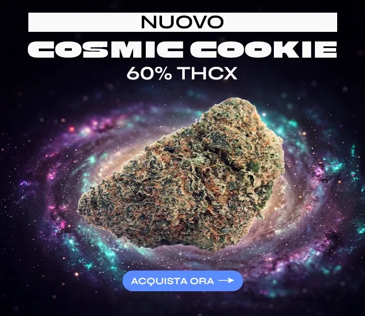 Cosmic Cokie THCX Spliff