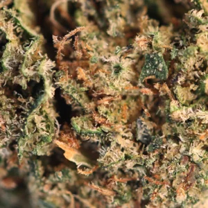 Cosmic Cookie CBD – macro di tricomi e pistilli