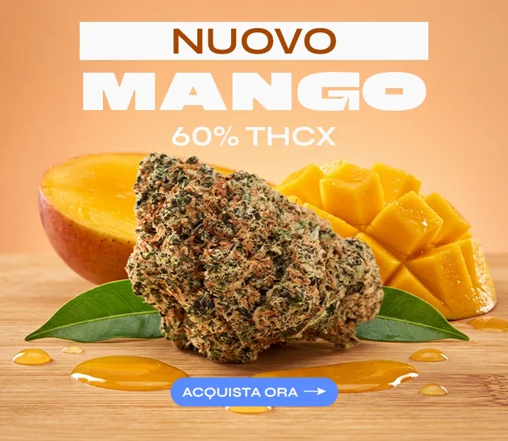 Mango THCX Spliff