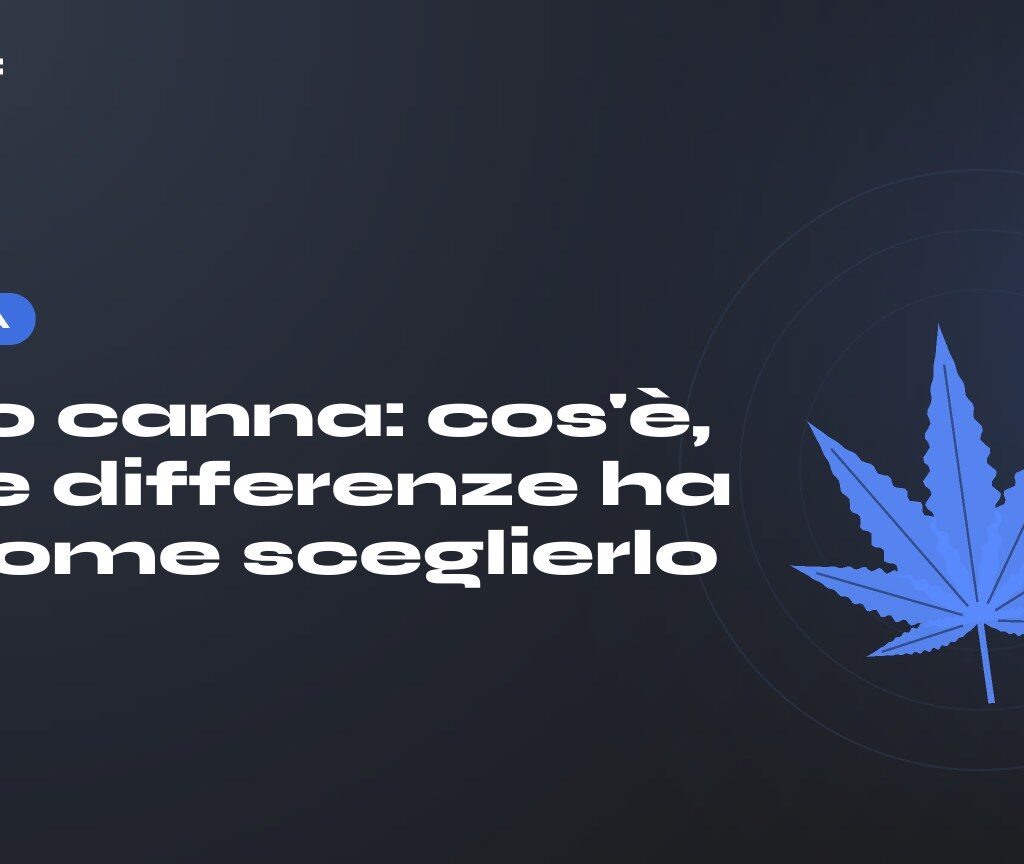 Olio canna: cos'è, che differenze ha e come sceglierlo — titolo su fondo scuro, foglia di canapa stilizzata