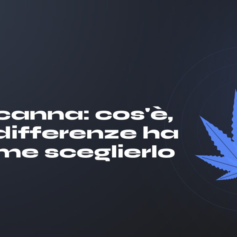 Olio canna: cos'è, che differenze ha e come sceglierlo — titolo su fondo scuro, foglia di canapa stilizzata