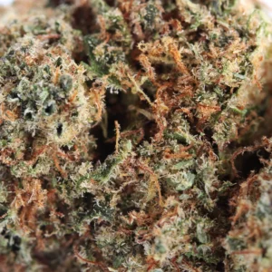 Plutonium CBD – macro di tricomi e pistilli