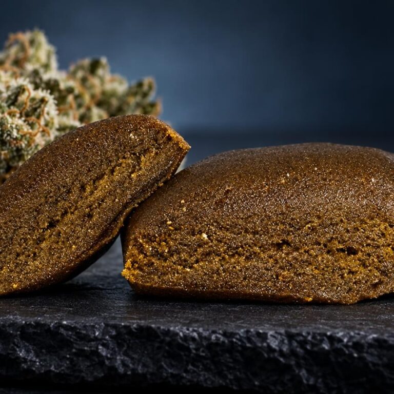 Tipi di hashish: concentrato Piatella Hash in una composizione di studio