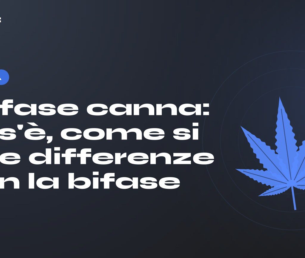 Trifase canna: cos'è, come si fa e differenze con la bifase — titolo su fondo scuro, foglia di canapa stilizzata
