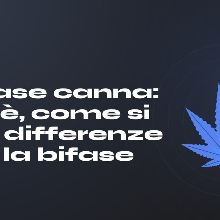 Trifase canna: cos'è, come si fa e differenze con la bifase — titolo su fondo scuro, foglia di canapa stilizzata
