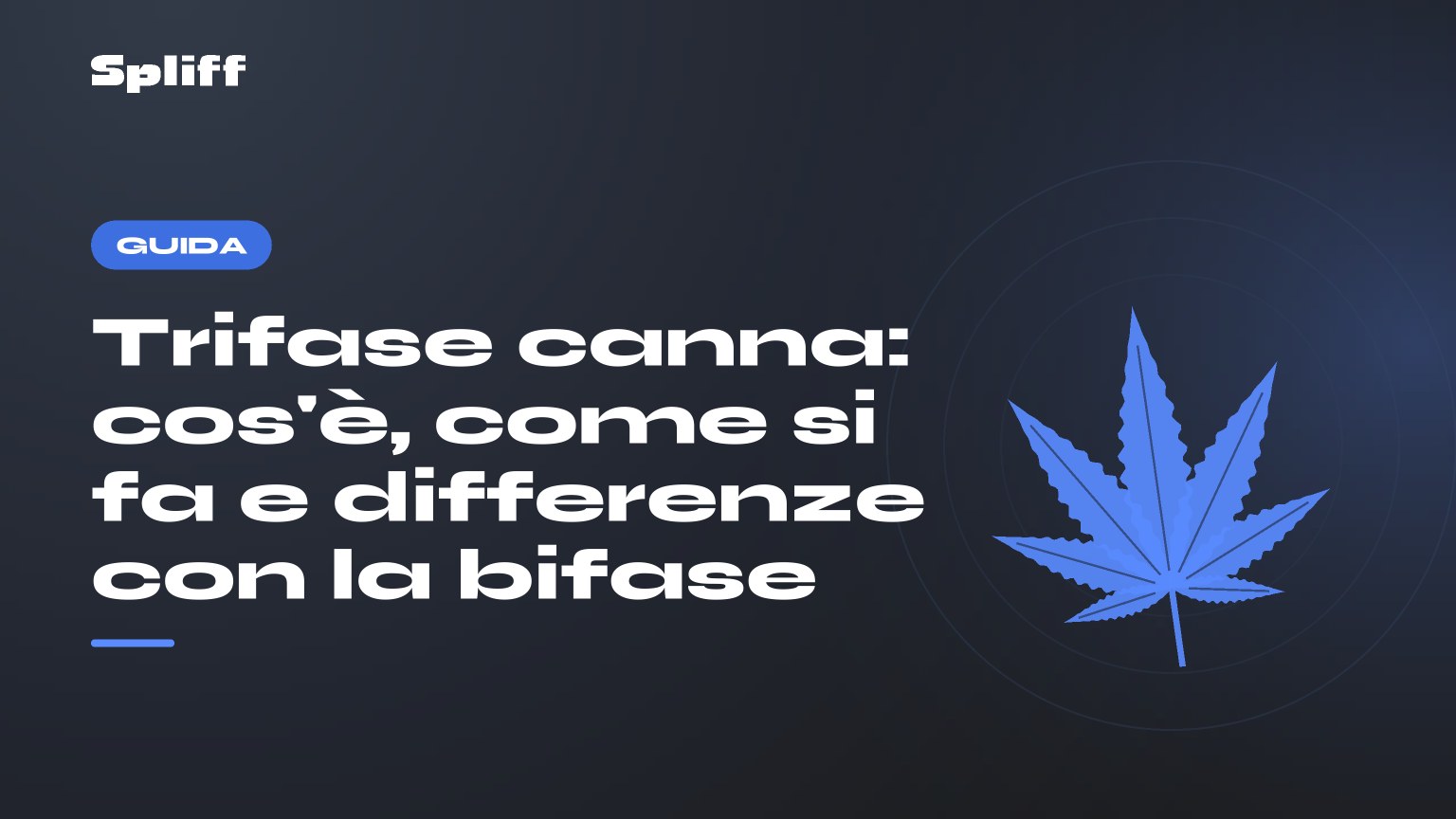 Trifase canna: cos'è, come si fa e differenze con la bifase — titolo su fondo scuro, foglia di canapa stilizzata