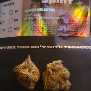Recensione cliente Amnesia con foto - Spliff