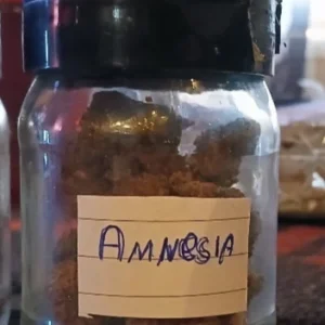 Recensione cliente Amnesia con foto - Spliff