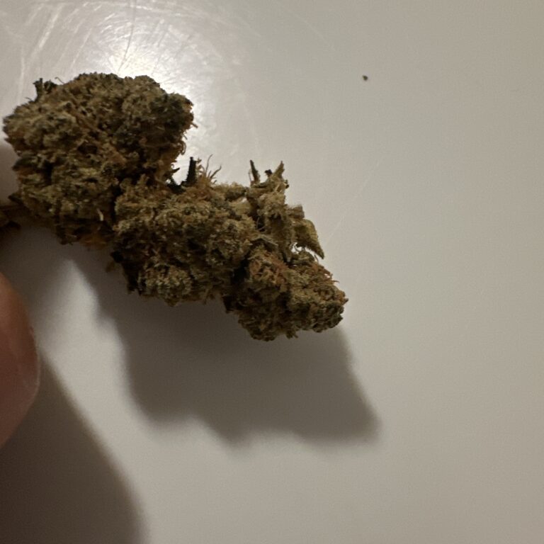 Recensione cliente Amnesia con foto - Spliff