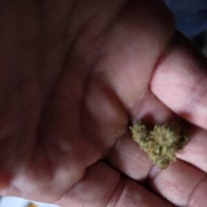 Recensione cliente Banana Berry con foto - Spliff