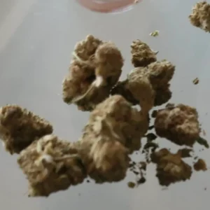 Recensione cliente Bubble Gum con foto - Spliff